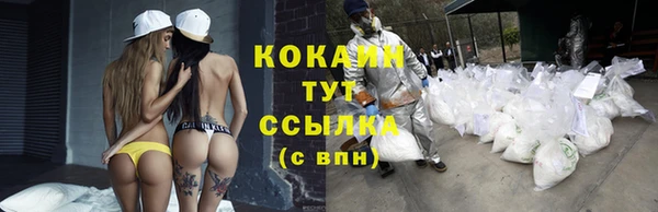 шишки Михайловка
