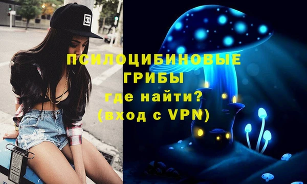 прущий лед Михайлов