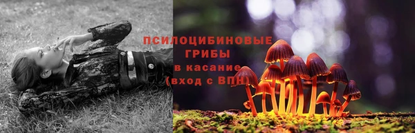 прущий лед Михайлов