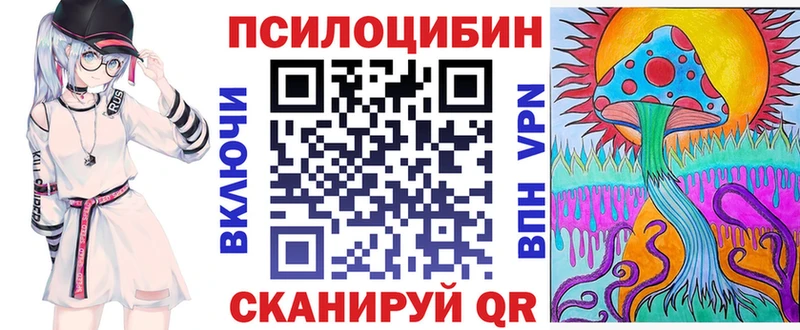 Псилоцибиновые грибы Cubensis Минусинск