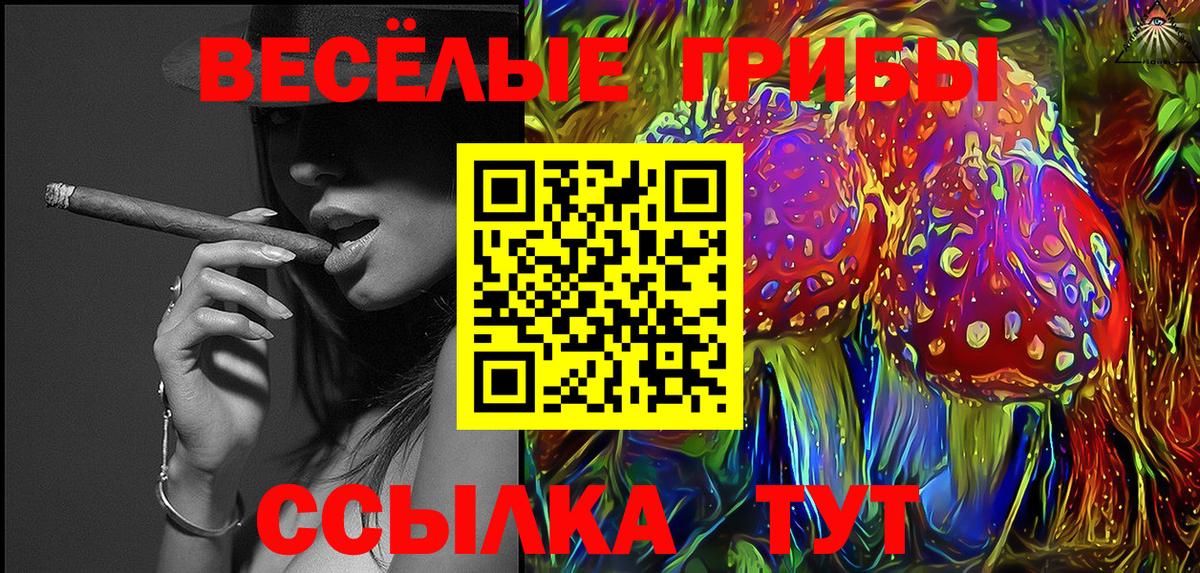 Галлюциногенные грибы MAGIC MUSHROOMS  Вход с VPN  Минусинск 