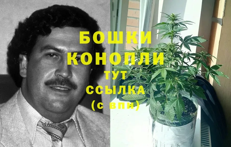 Шишки марихуана Ganja  купить наркотик  Минусинск 